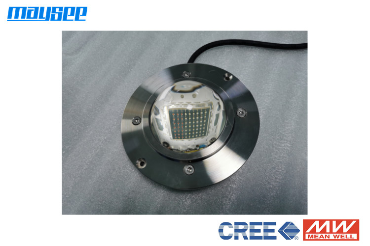 54W 표면 장착 LED 수영장 빛 방수 IP68 등급 RGBW 색상